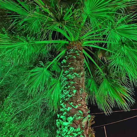 Palm House